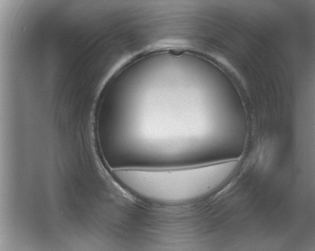 X0000068271325200604210930