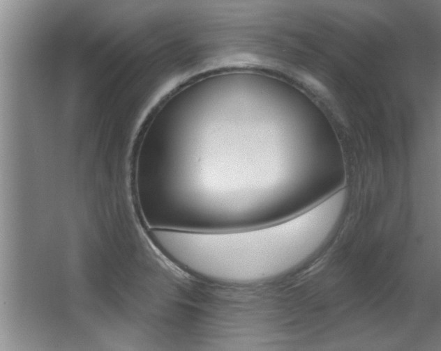 X0000068271326200604210930