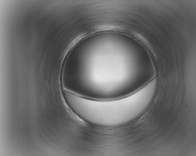 X0000068271330200604210930