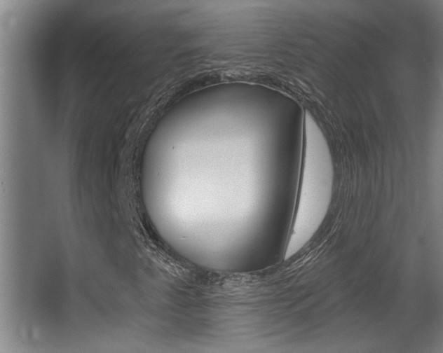 X0000068271345200604210930