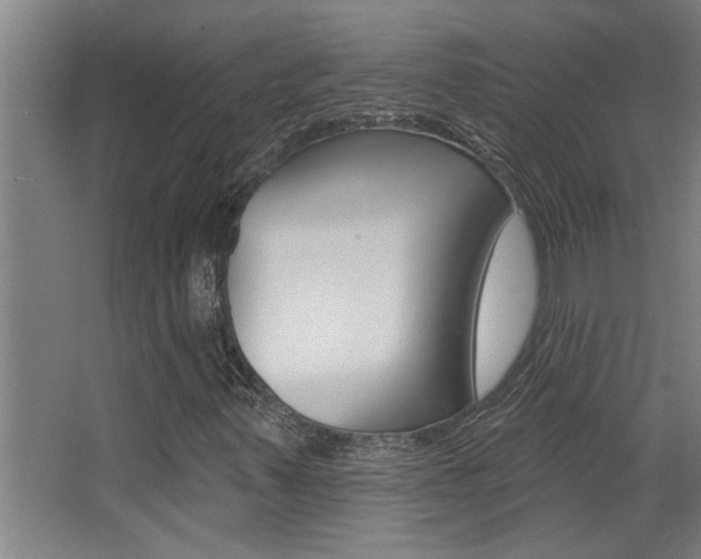 X0000068271347200604210929