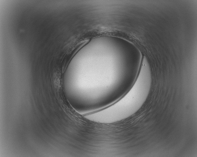 X0000068271348200604210929