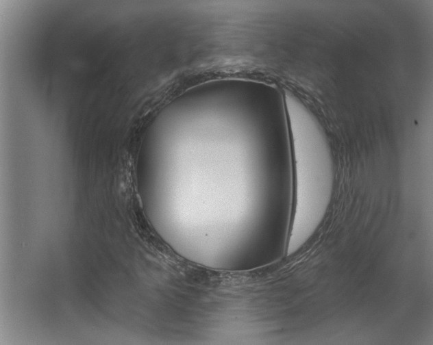 X0000068271349200604210929