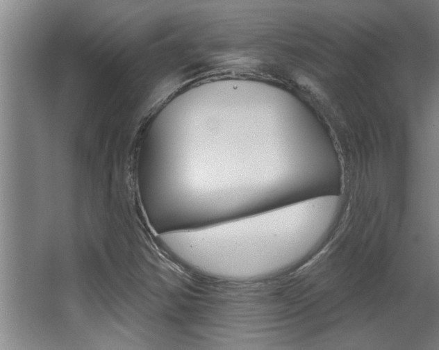 X0000068271354200604210929