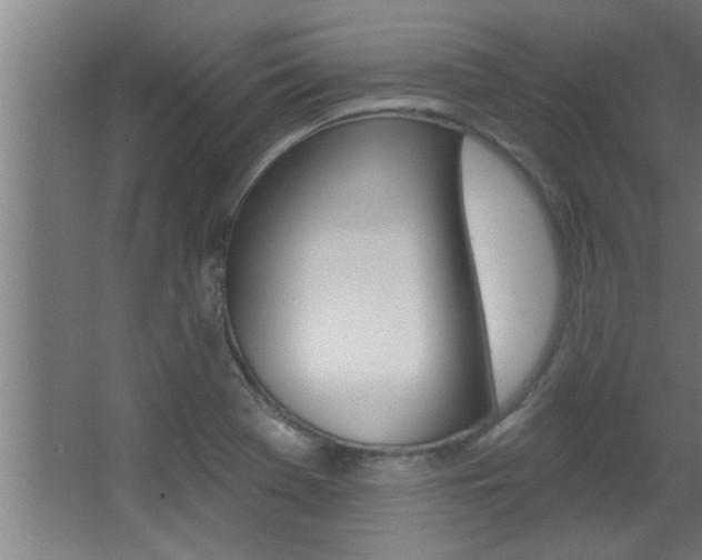 X0000068271369200604210929