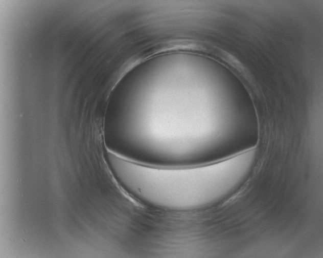 X0000068271377200604210929