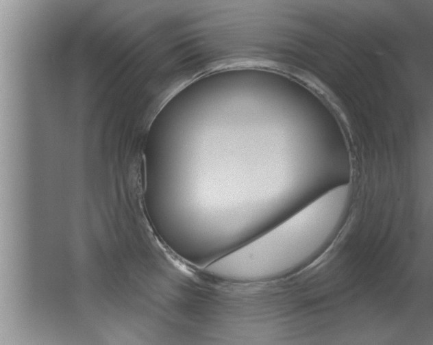 X0000068271385200604210929