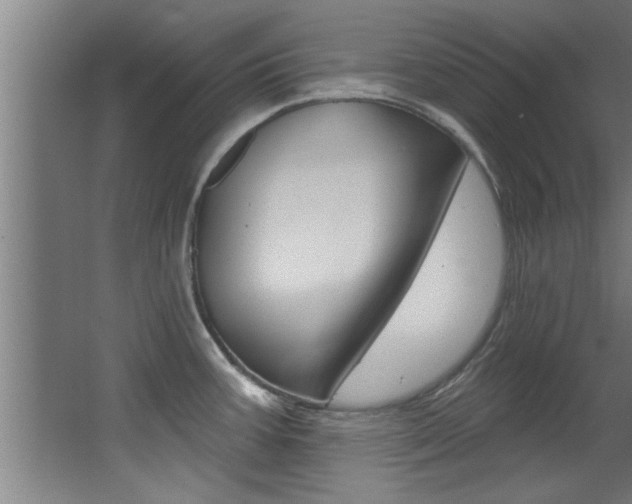 X0000068271387200604210929