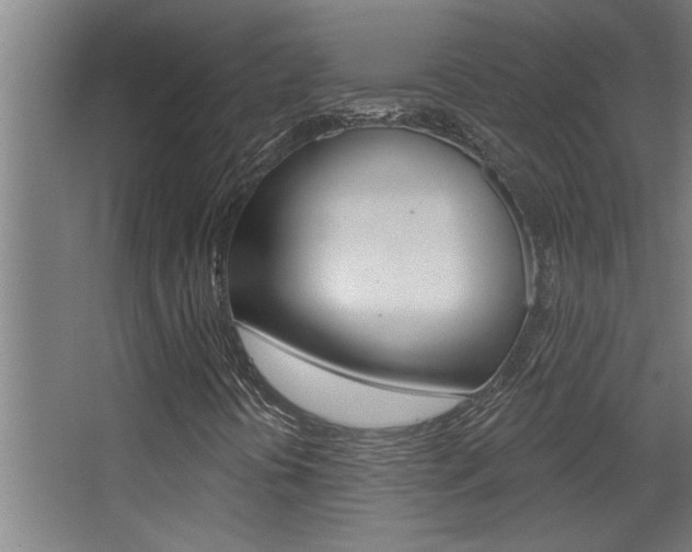 X0000068271394200604210928
