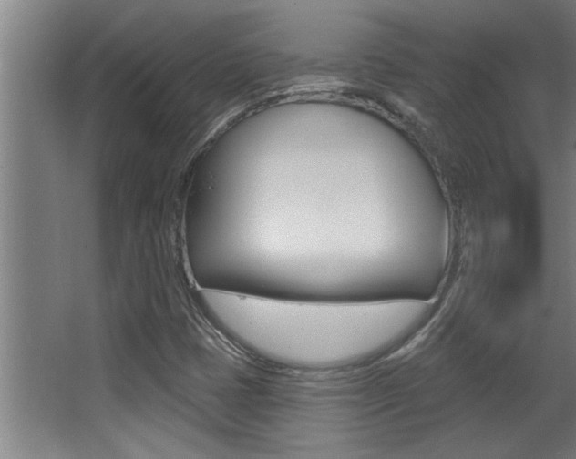 X0000068271401200604210928