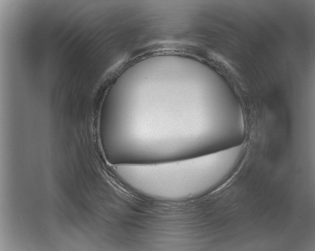 X0000068271403200604210928