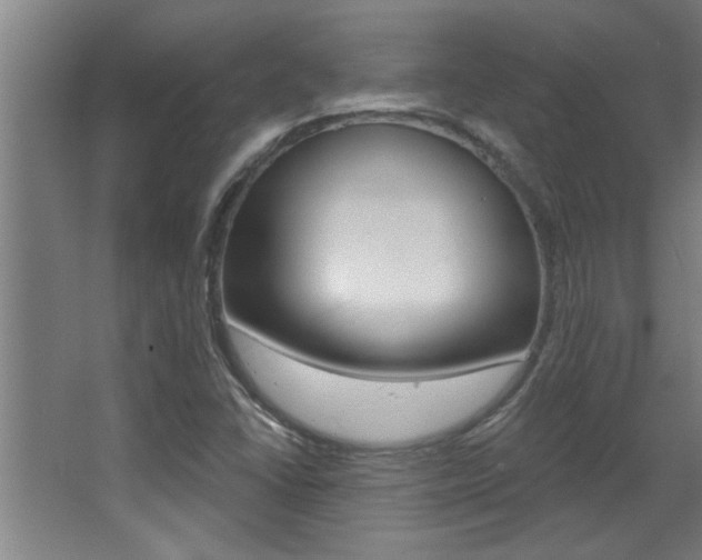 X0000068271406200604210928