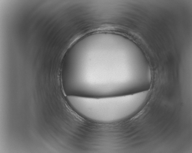 X0000068271409200604210928