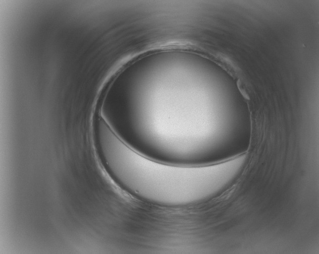 X0000068271422200604210928