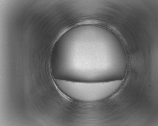 X0000068271425200604210928