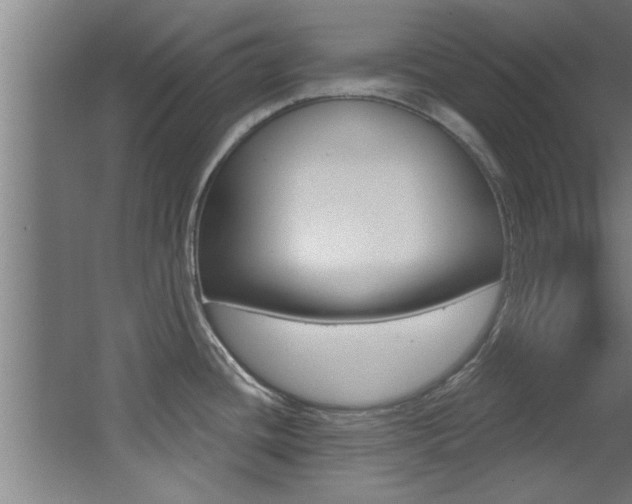 X0000068271436200604210929