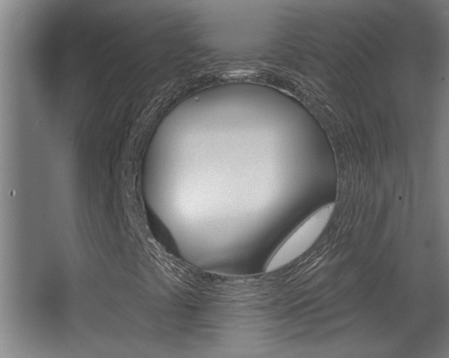 X0000068271441200604210928
