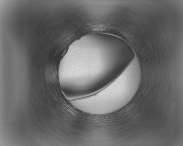 X0000068271444200604210928