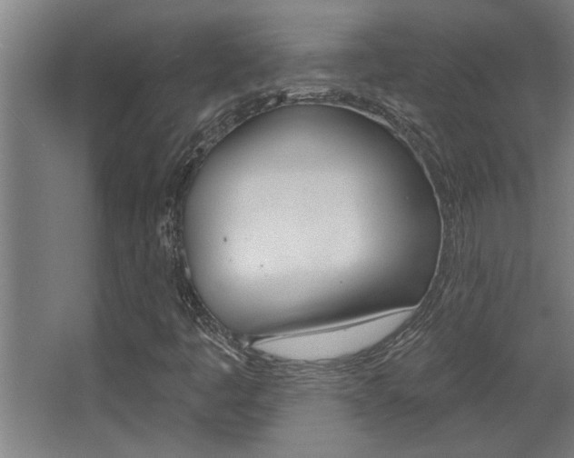 X0000068271445200604210928