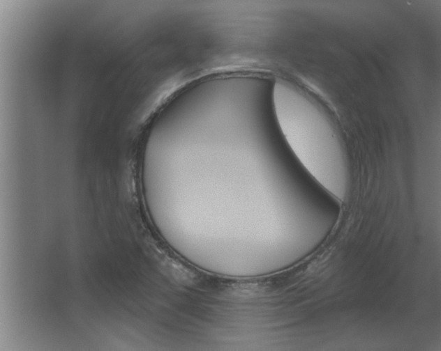 X0000068271455200604210928