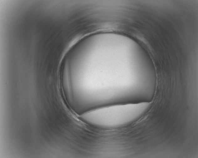 X0000068271467200604210927