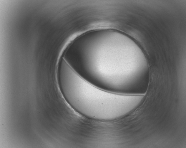 X0000068271472200604210927