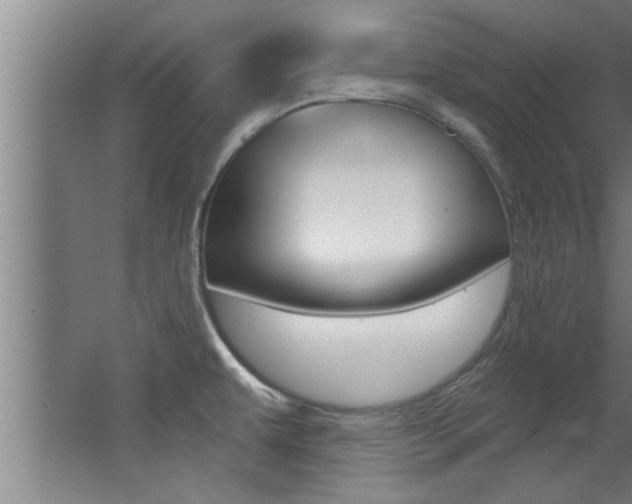 X0000068271479200604210927