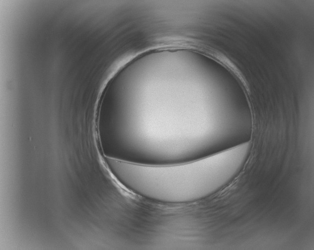 X0000068271485200604210927