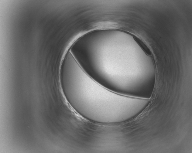 X0000068271488200604210927