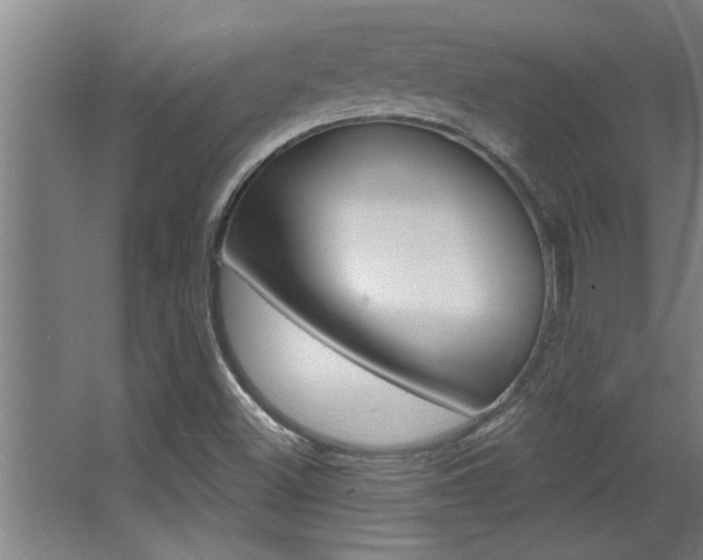 X0000068271500200604210926