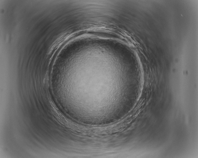 X0000068270002200604211122