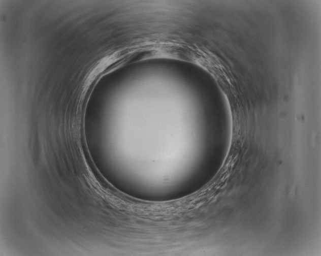 X0000068270003200604211122