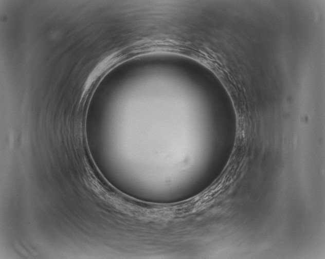 X0000068270004200604211122