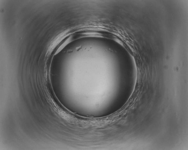 X0000068270005200604211122