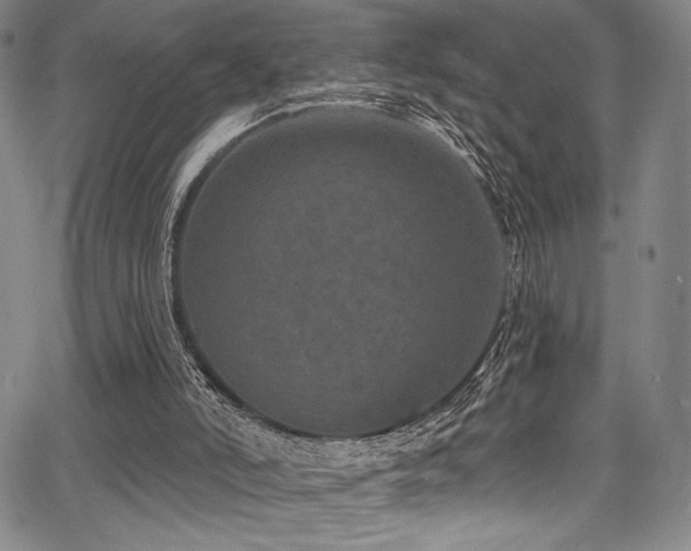 X0000068270006200604211122