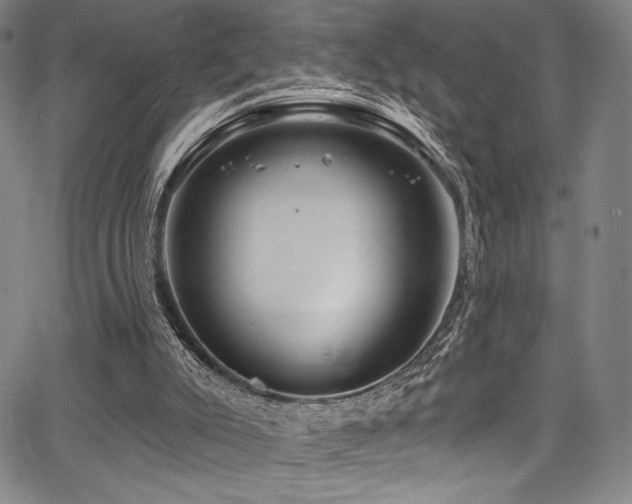 X0000068270007200604211122