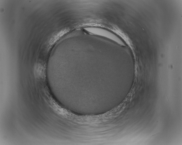 X0000068270009200604211122