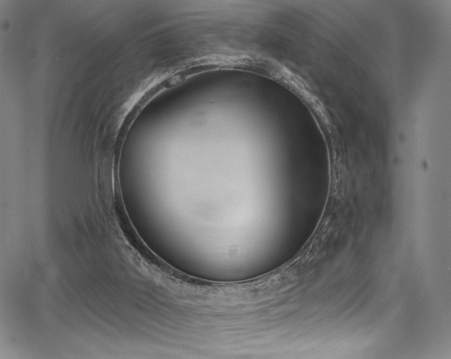 X0000068270011200604211122