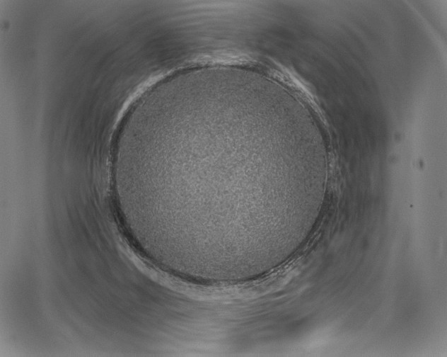 X0000068270012200604211122