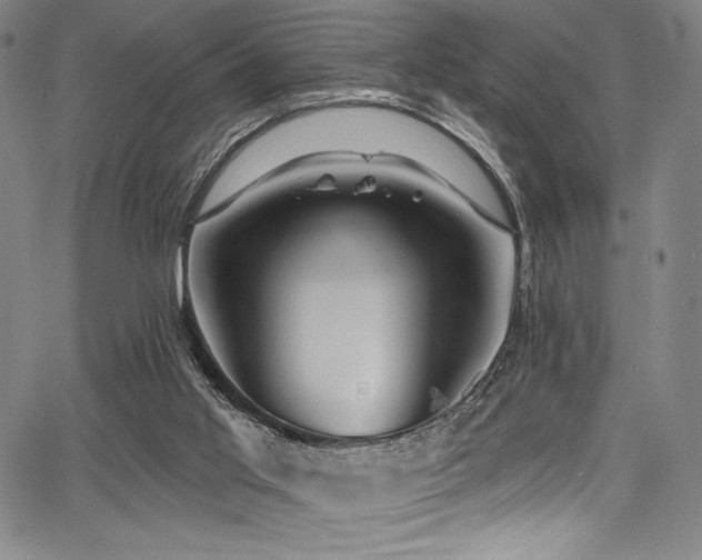 X0000068270013200604211122