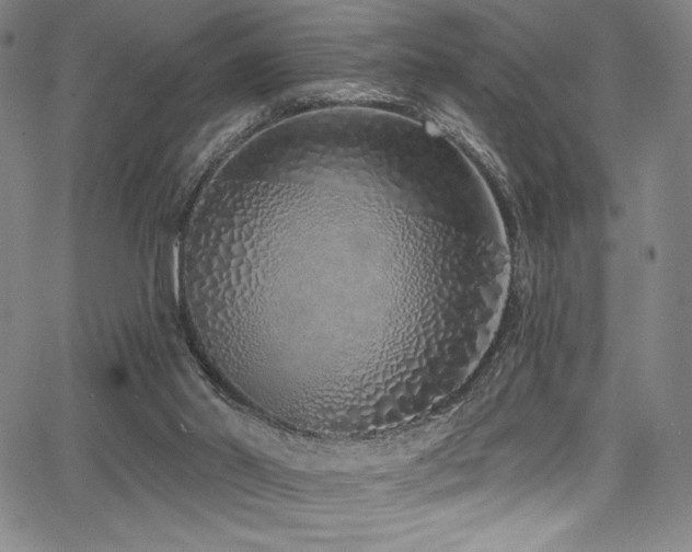 X0000068270014200604211122