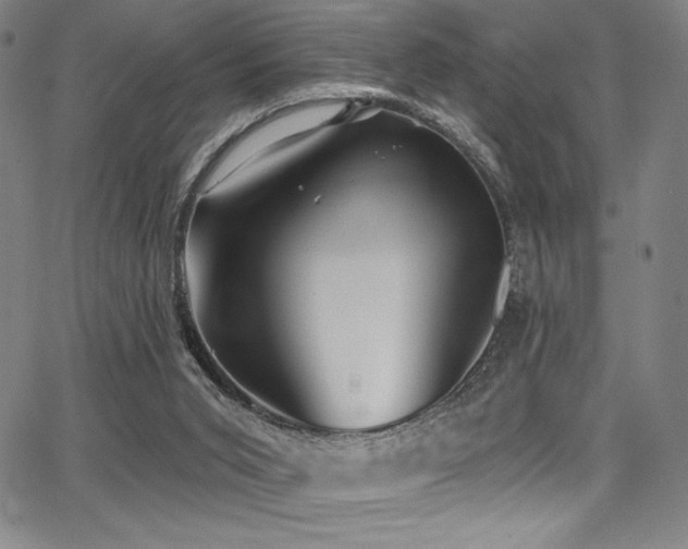 X0000068270015200604211122