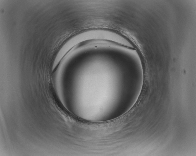 X0000068270017200604211122