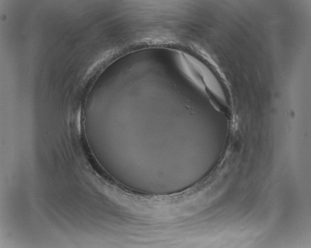 X0000068270019200604211122