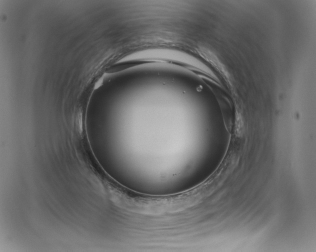 X0000068270021200604211122