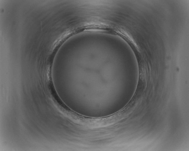 X0000068270023200604211122