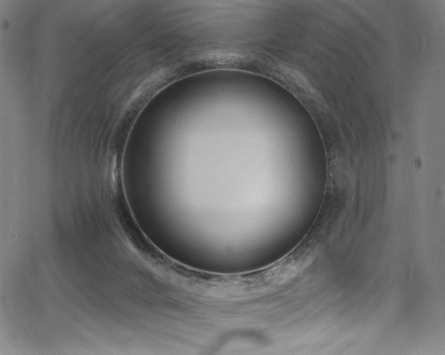 X0000068270024200604211122