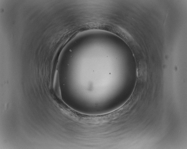 X0000068270025200604211122