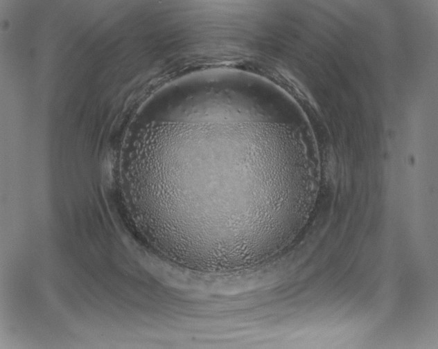 X0000068270026200604211122