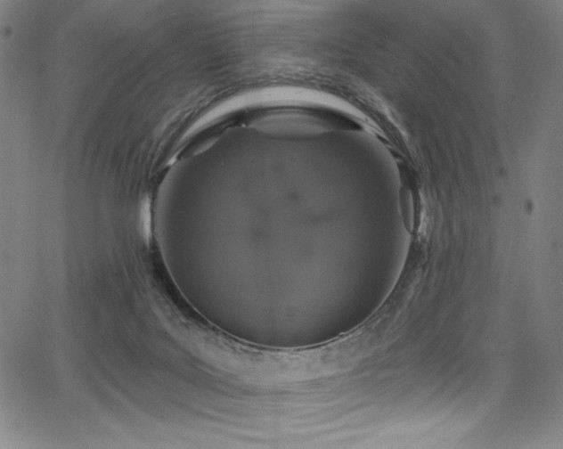 X0000068270027200604211122